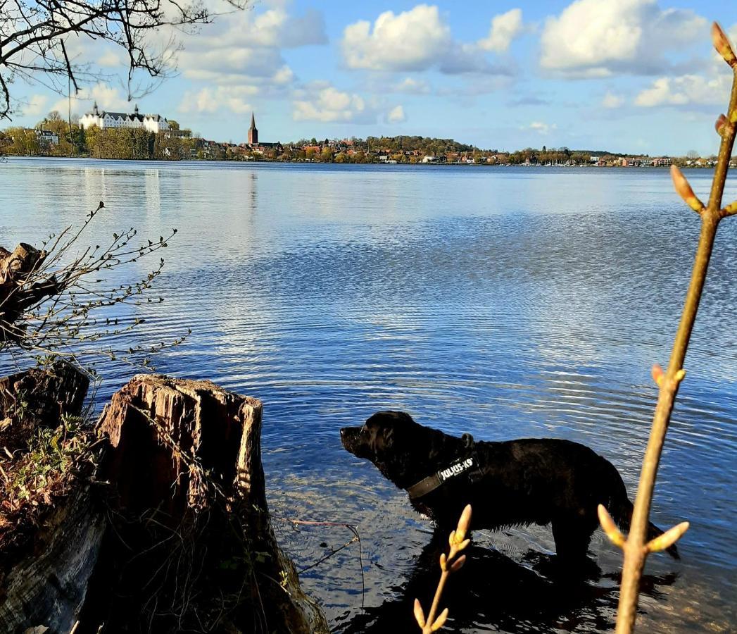 Exklusive Ferienwohnung Strohberg Plön Exteriér fotografie